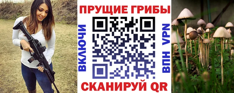 Купить закладки  Спасск  Псилоцибиновые грибы Psilocybine cubensis 
